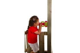 Megaphone
