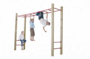 Monkey Bars Blue with Timber Posts