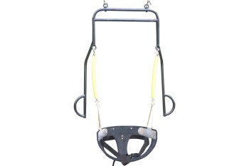 Adult Disabled Swing Seat with Frame